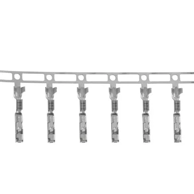 fpautoparts202606210611091412512
